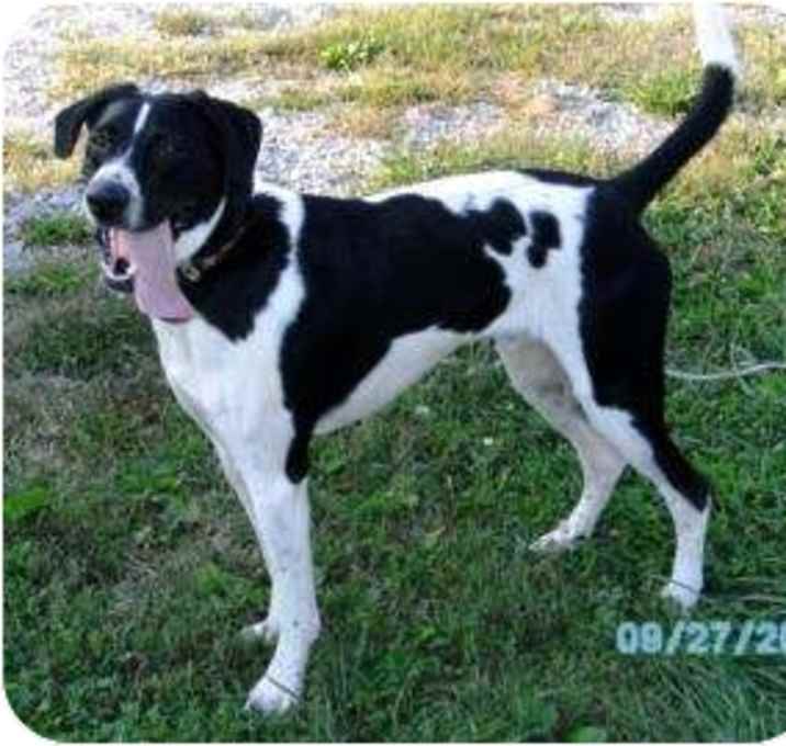 Photo of Eddie