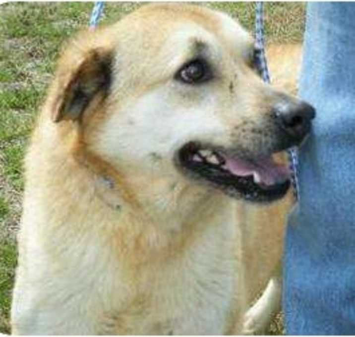Photo of Sandy