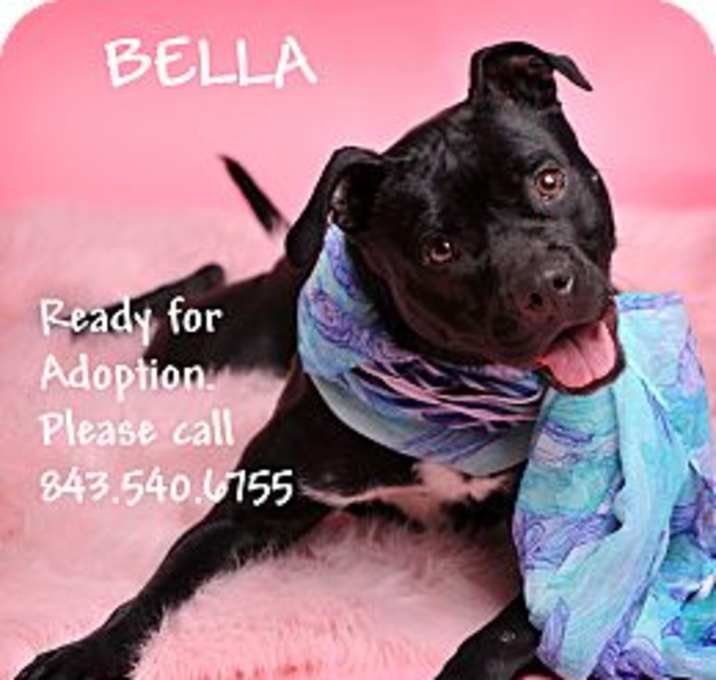 Photo of BELLA