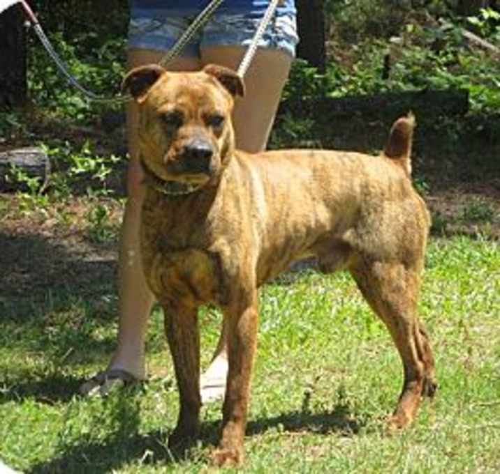 Photo of Max