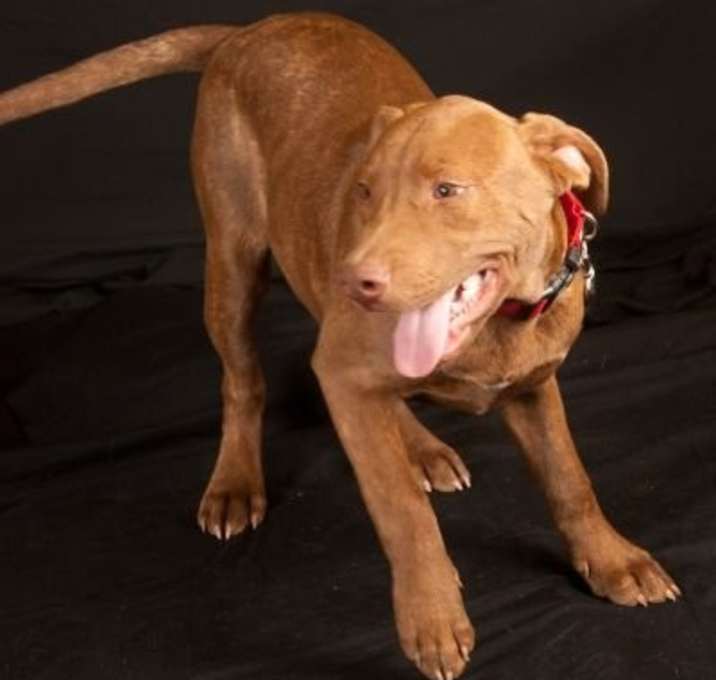 Photo of Zeus