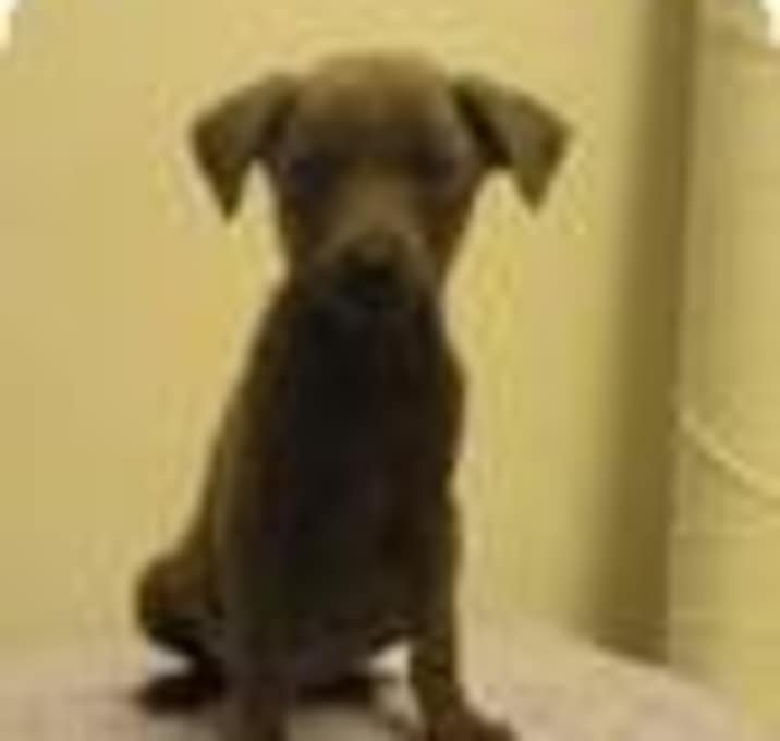 Photo of Kinzie