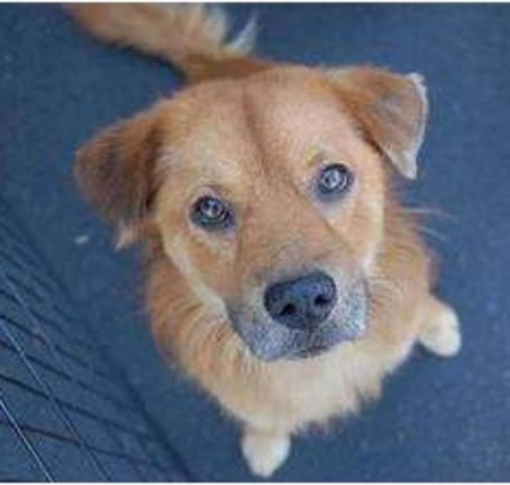 Photo of Champ