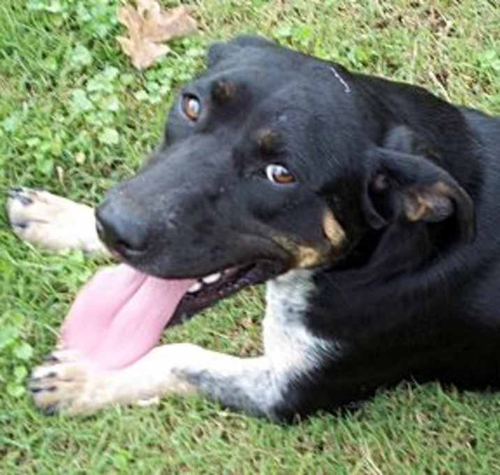 Photo of Lulu