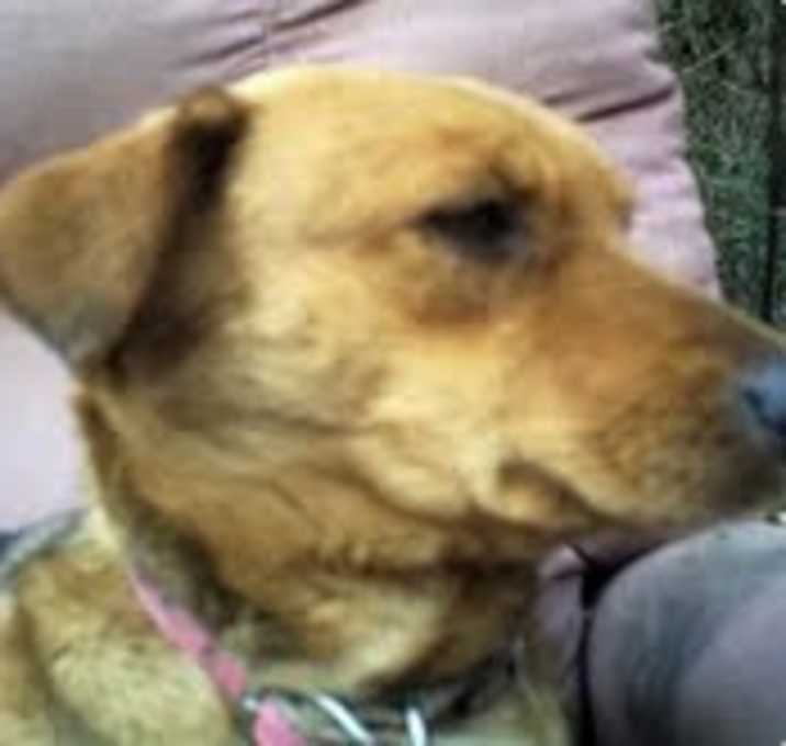 Photo of Greta