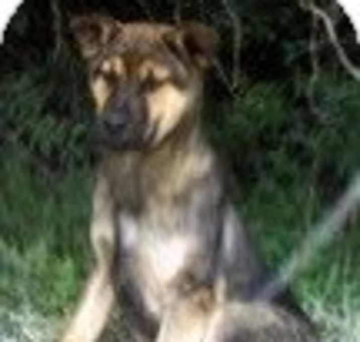 Photo of Bart