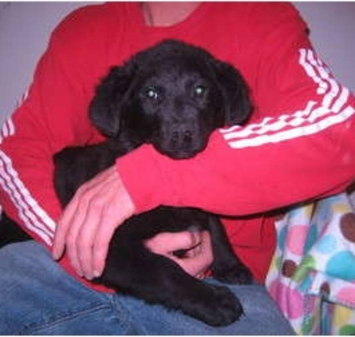 Photo of Blackie