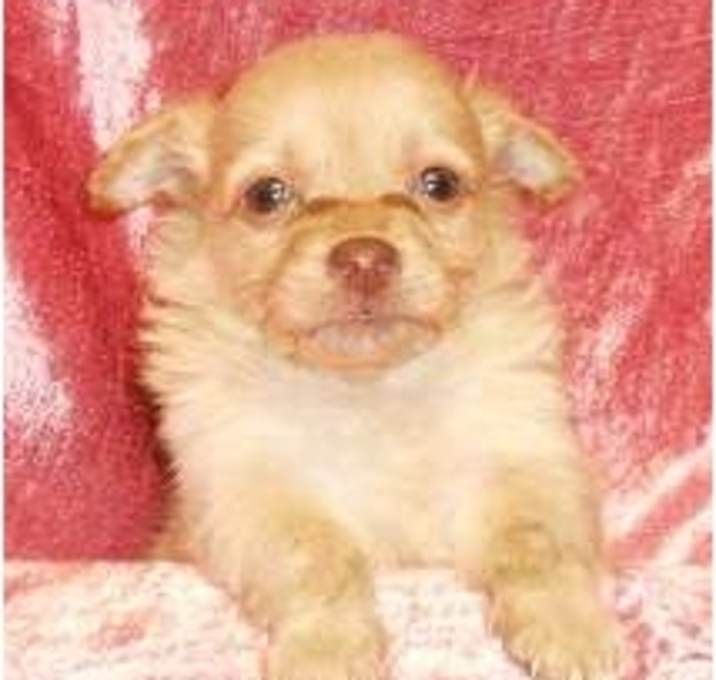 Photo of Brayden
