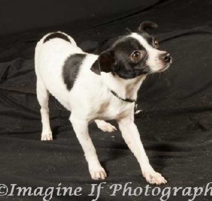 Photo of Colby
