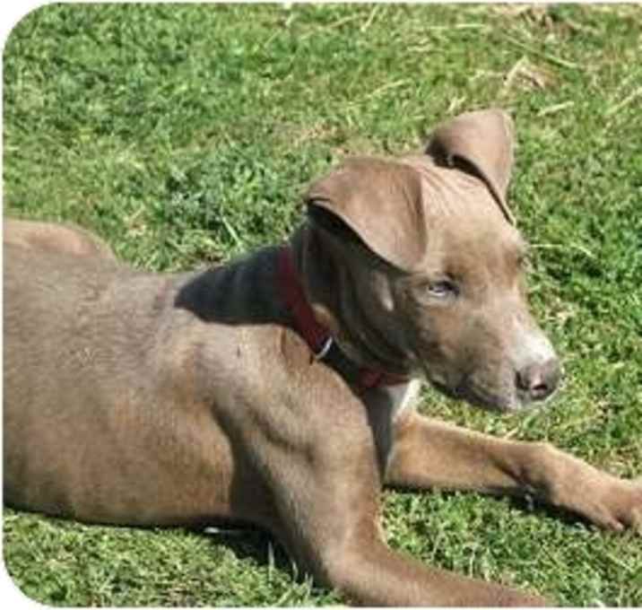 Photo of Bud