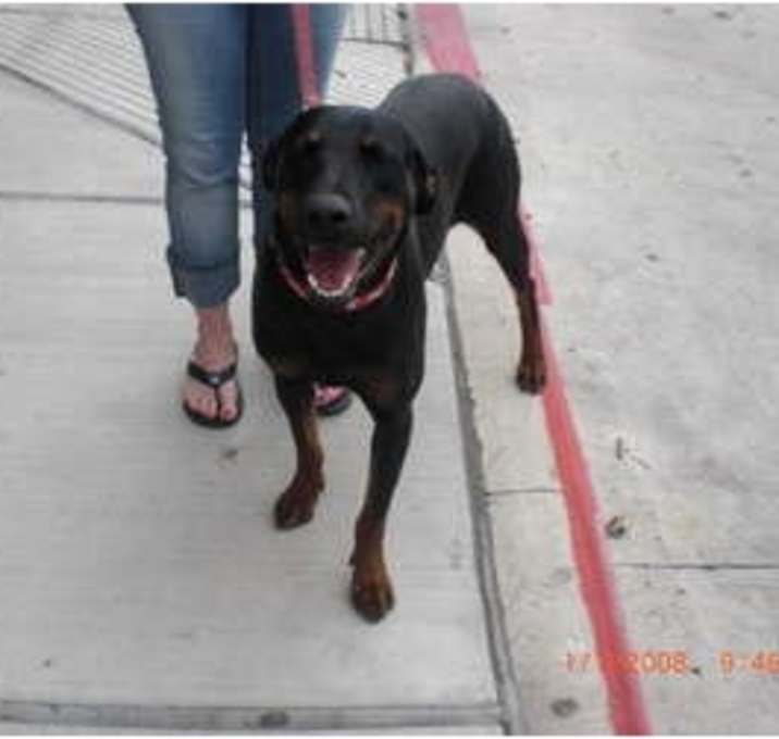 Photo of Jazzy