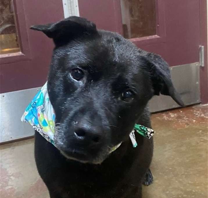 Photo of Delilah