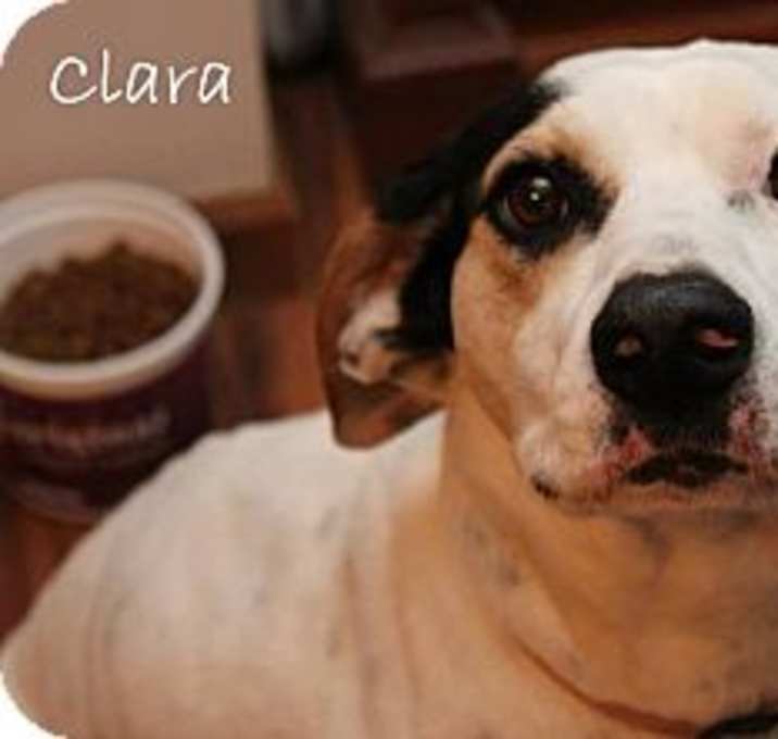 Photo of Clara