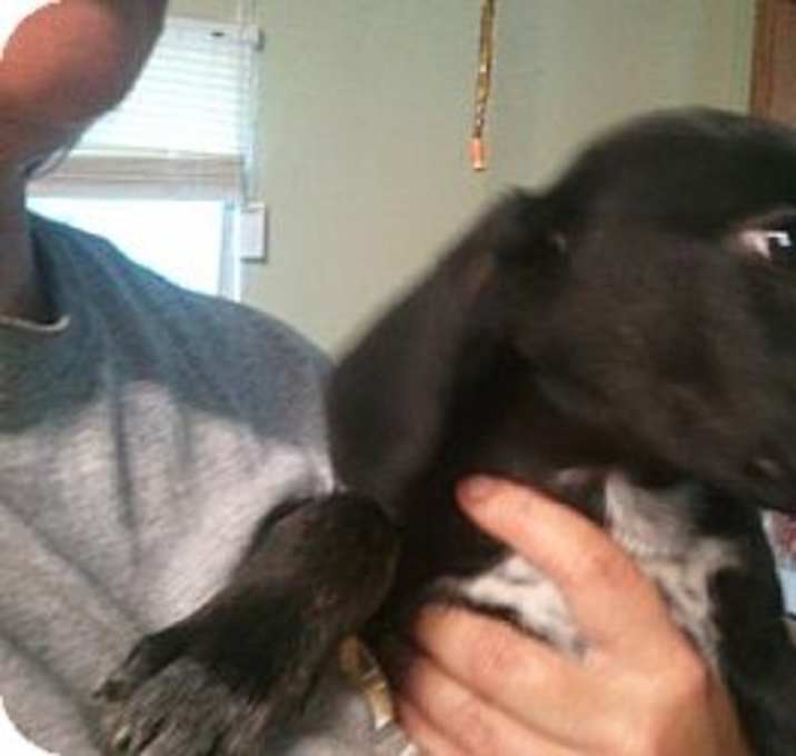 Photo of Jet