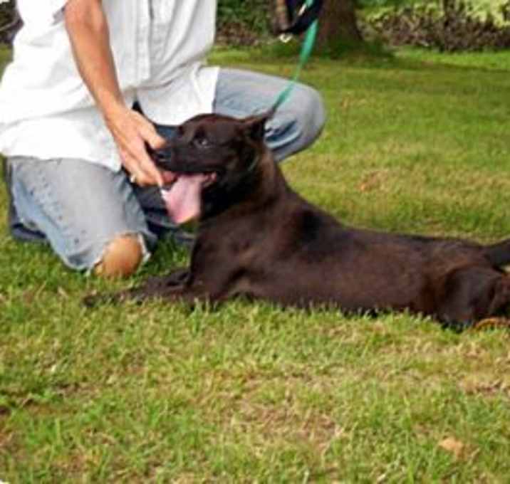 Photo of Ranger Danger