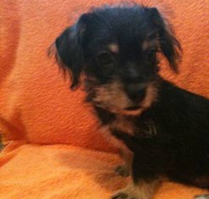 Photo of Jack