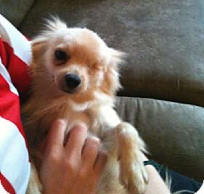 Photo of One Eyed Willie