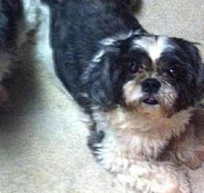 Photo of Mia