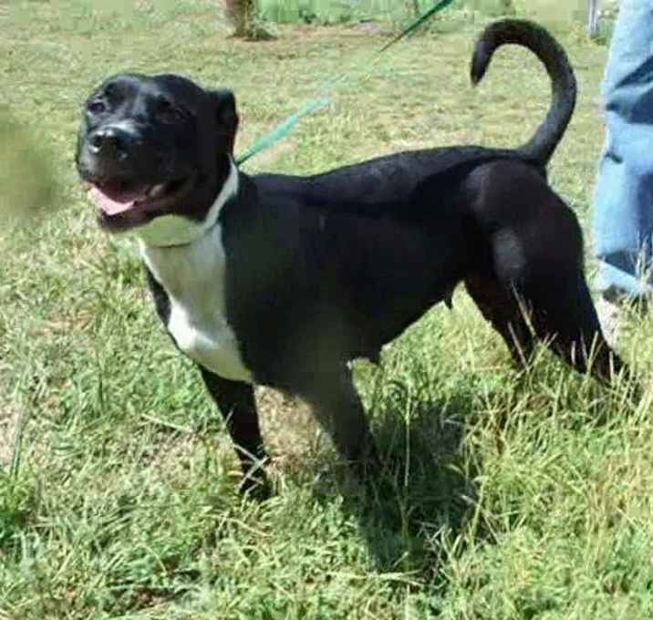 Photo of Sundae