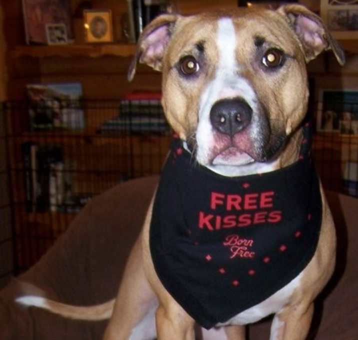 Photo of Chyna