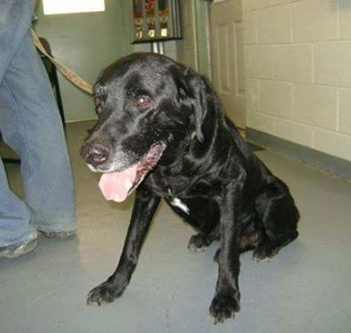 Photo of Beethoven