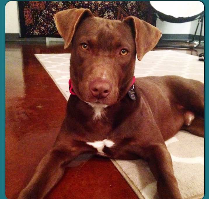 Photo of Zeke