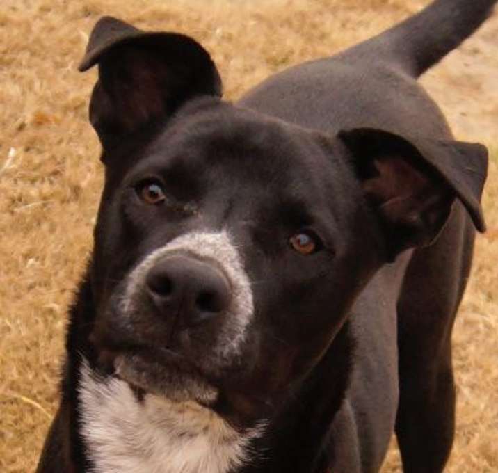 Photo of Nebo