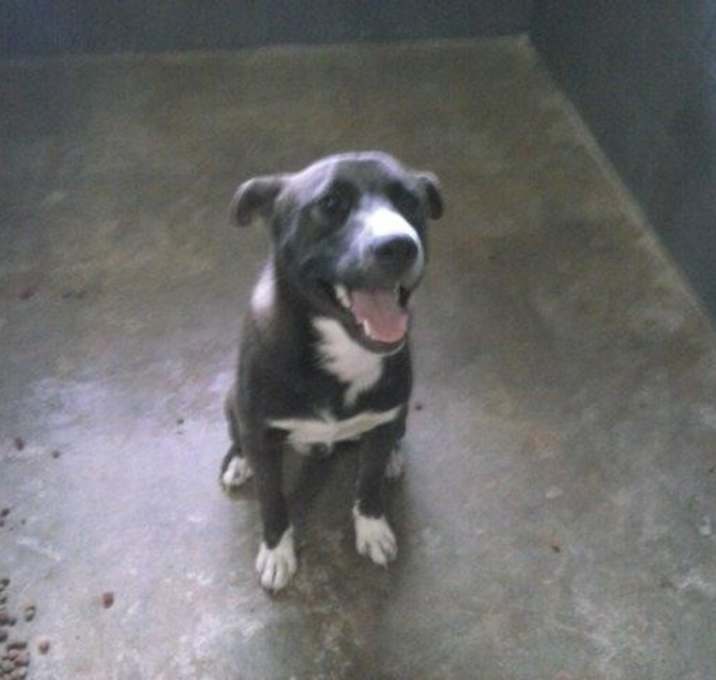 Photo of Tux