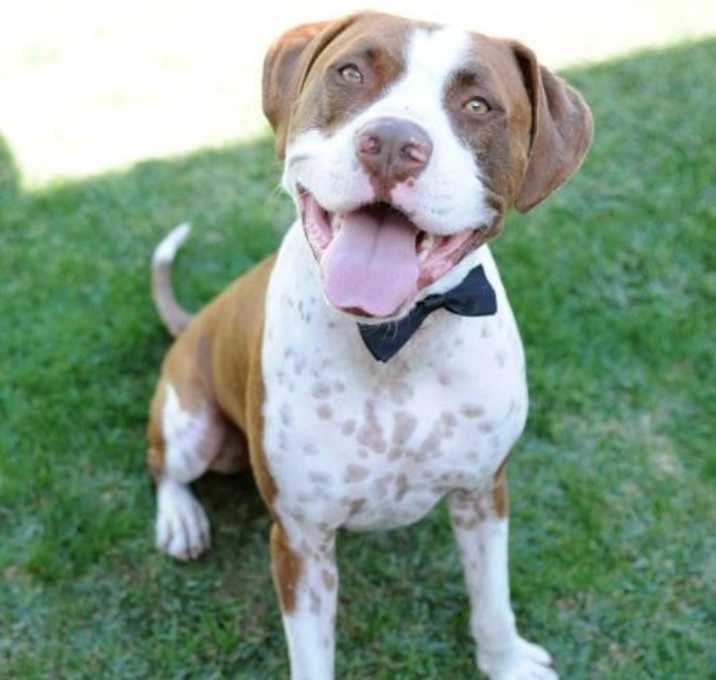 Photo of Alphie