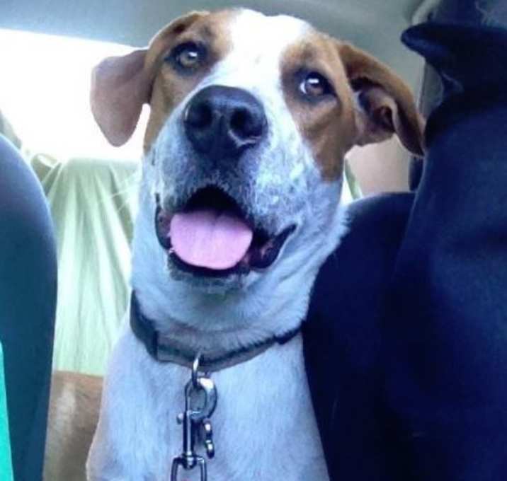 Photo of Charley