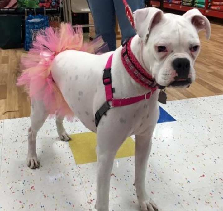 Photo of Etta
