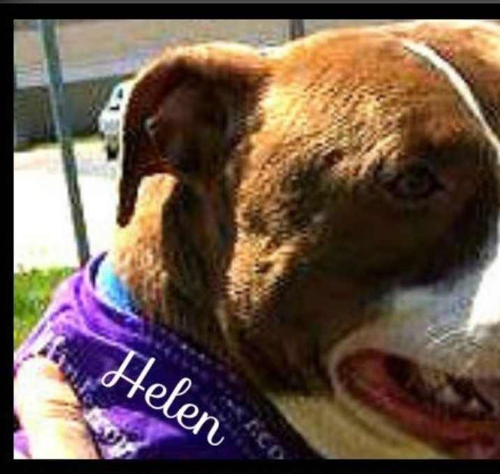 Photo of Helen