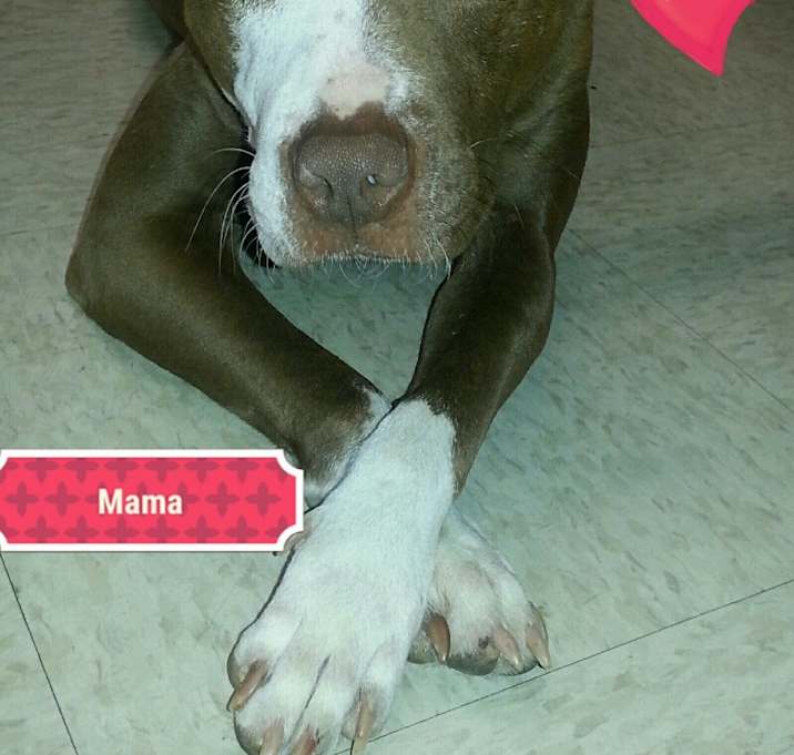 Photo of Mama