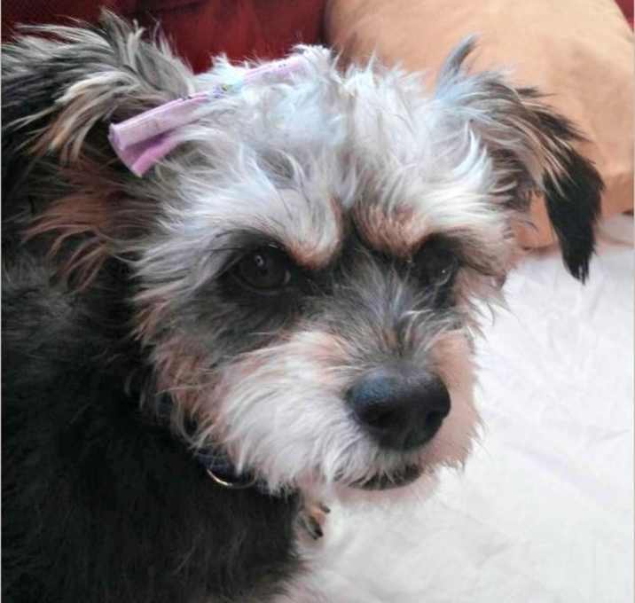 Photo of Zoey
