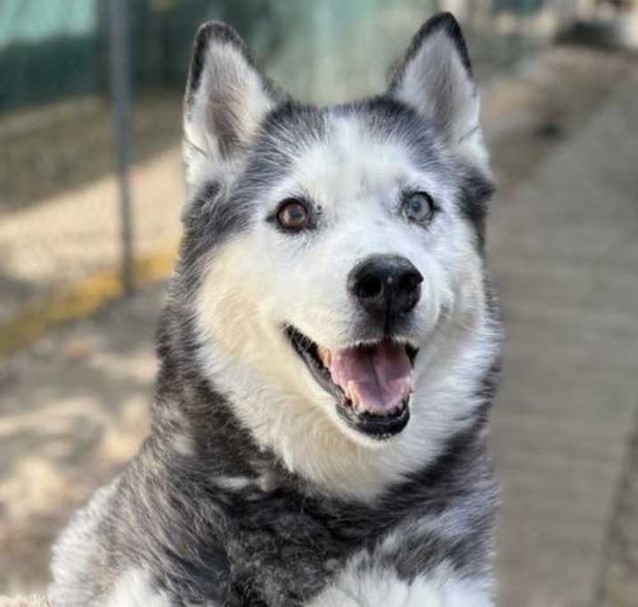 Photo of Azul