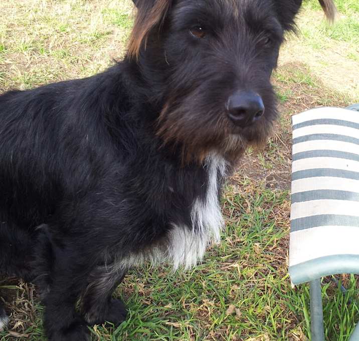 Photo of buddy