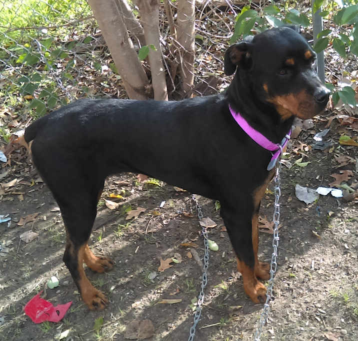 Photo of Luna