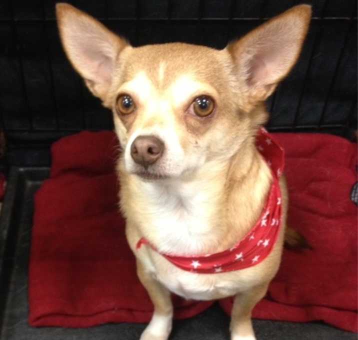 Photo of Daisy Mae