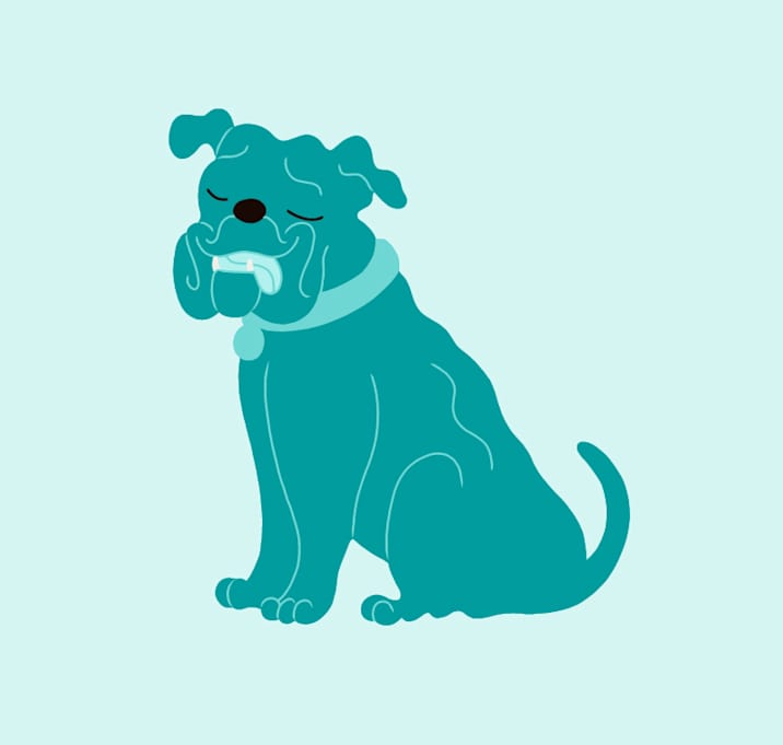 Photo of Bentley
