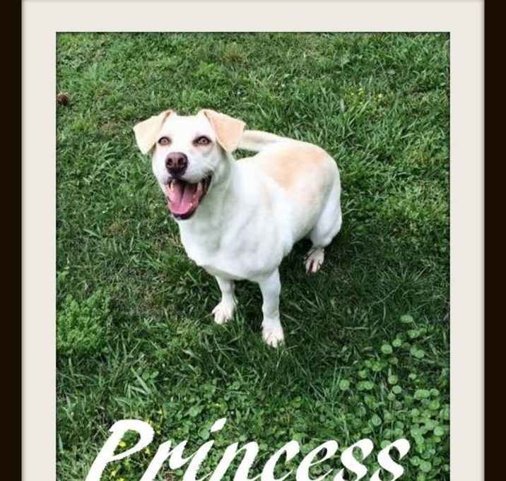 Photo of Princess