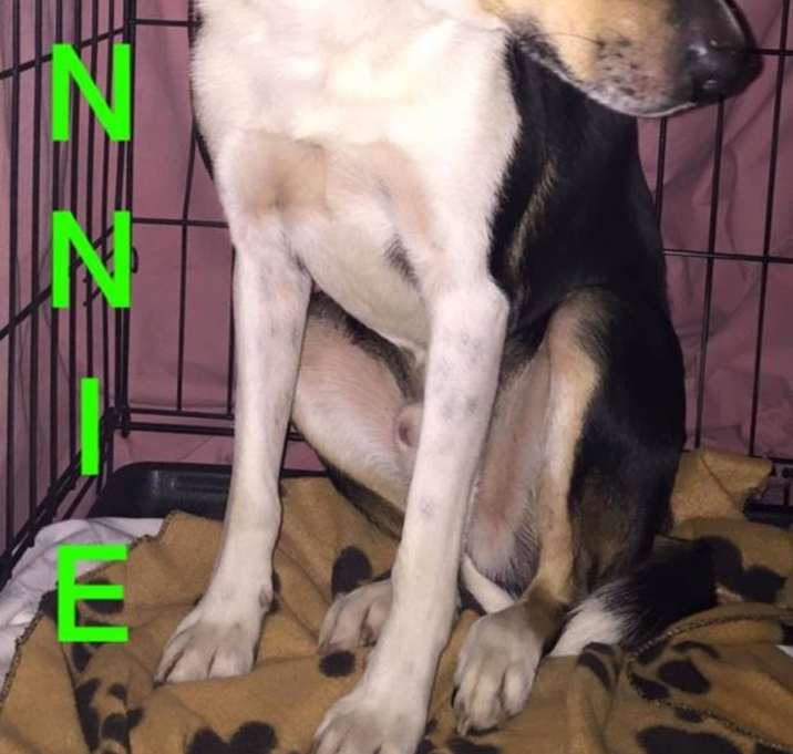Photo of Donnie