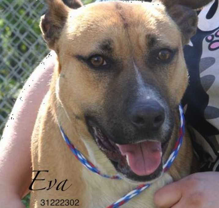 Photo of Eva