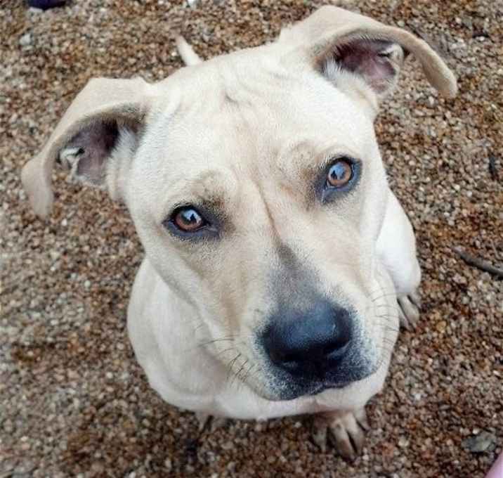 Photo of Jilly Beans