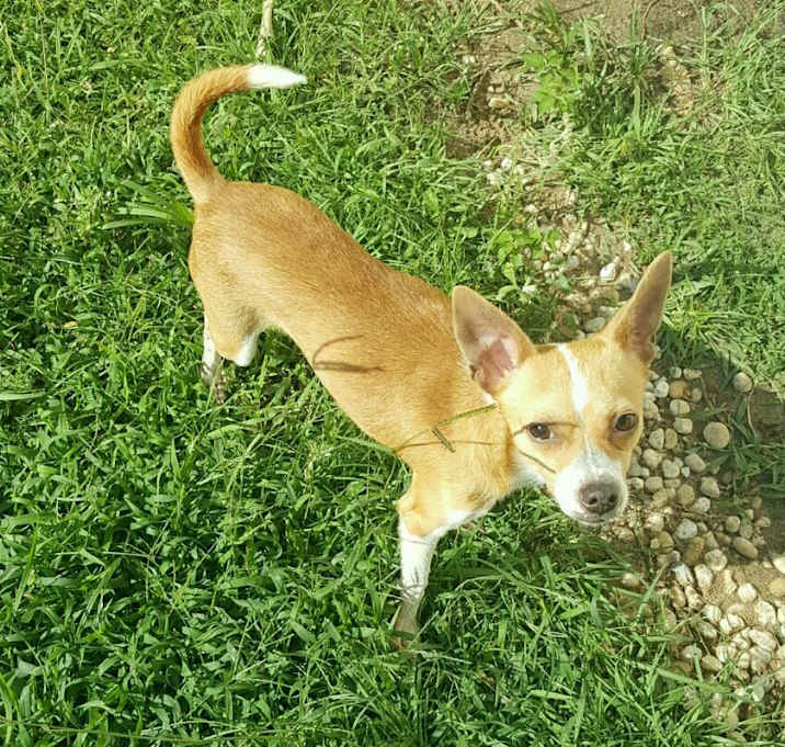 Photo of BAILEY