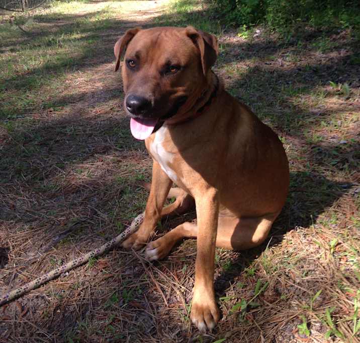 Photo of Willie