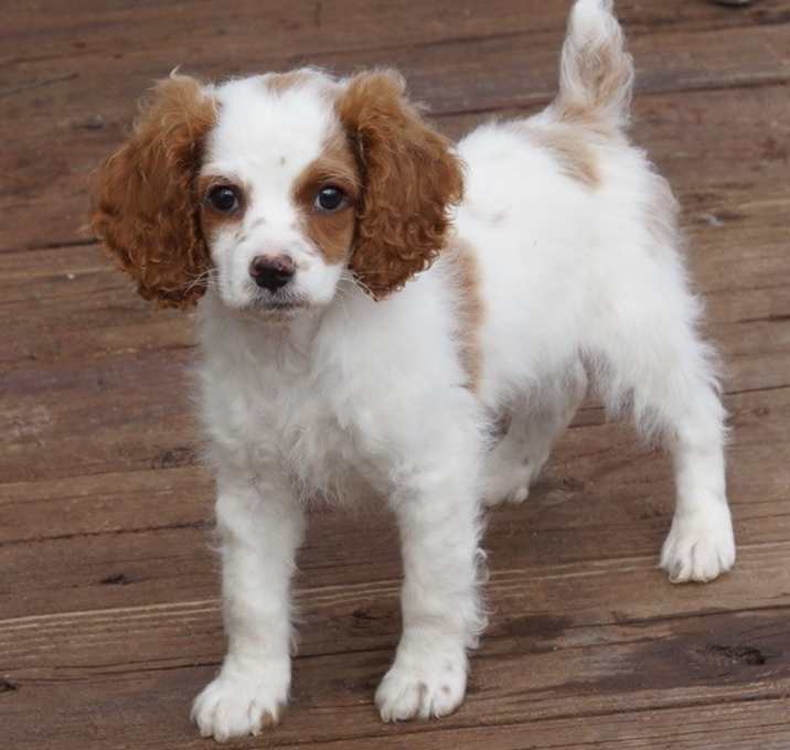 Photo of Buffy