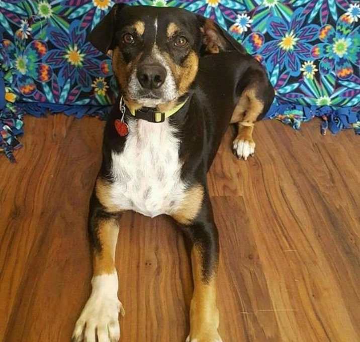 Photo of Ernie