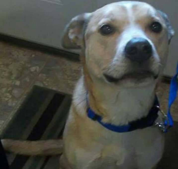 Photo of Sadie