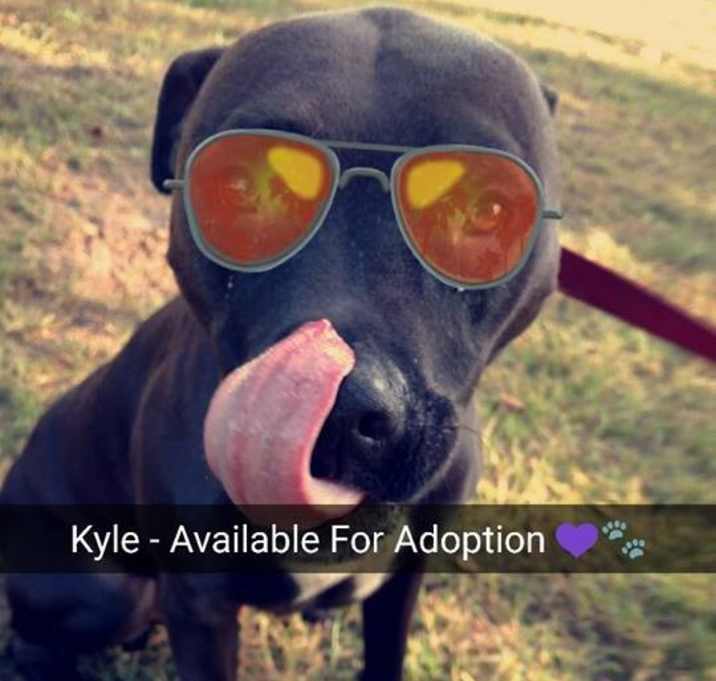 Photo of Kyle