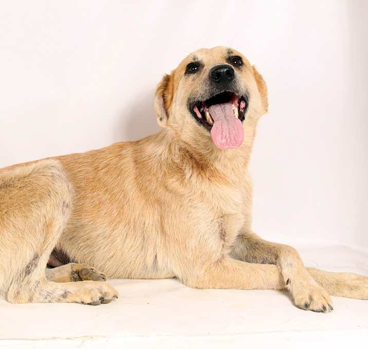 Photo of Maggie Heeler